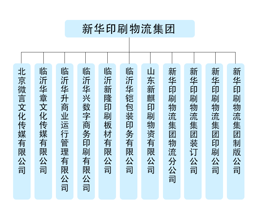 組織結(jié)構(gòu) 組織結(jié)構(gòu)